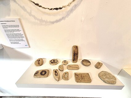 Cabinet of (un)Natural History exhibition by Rosalie Morris at The Folkestone Fringe 