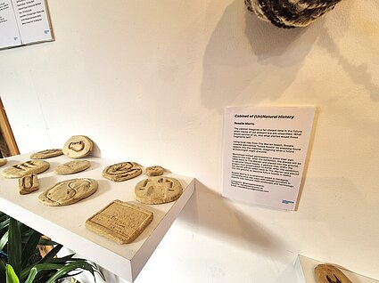 Cabinet of (un)Natural History exhibition at The Folkestone Fringe Triennial  by Rosalie Morris