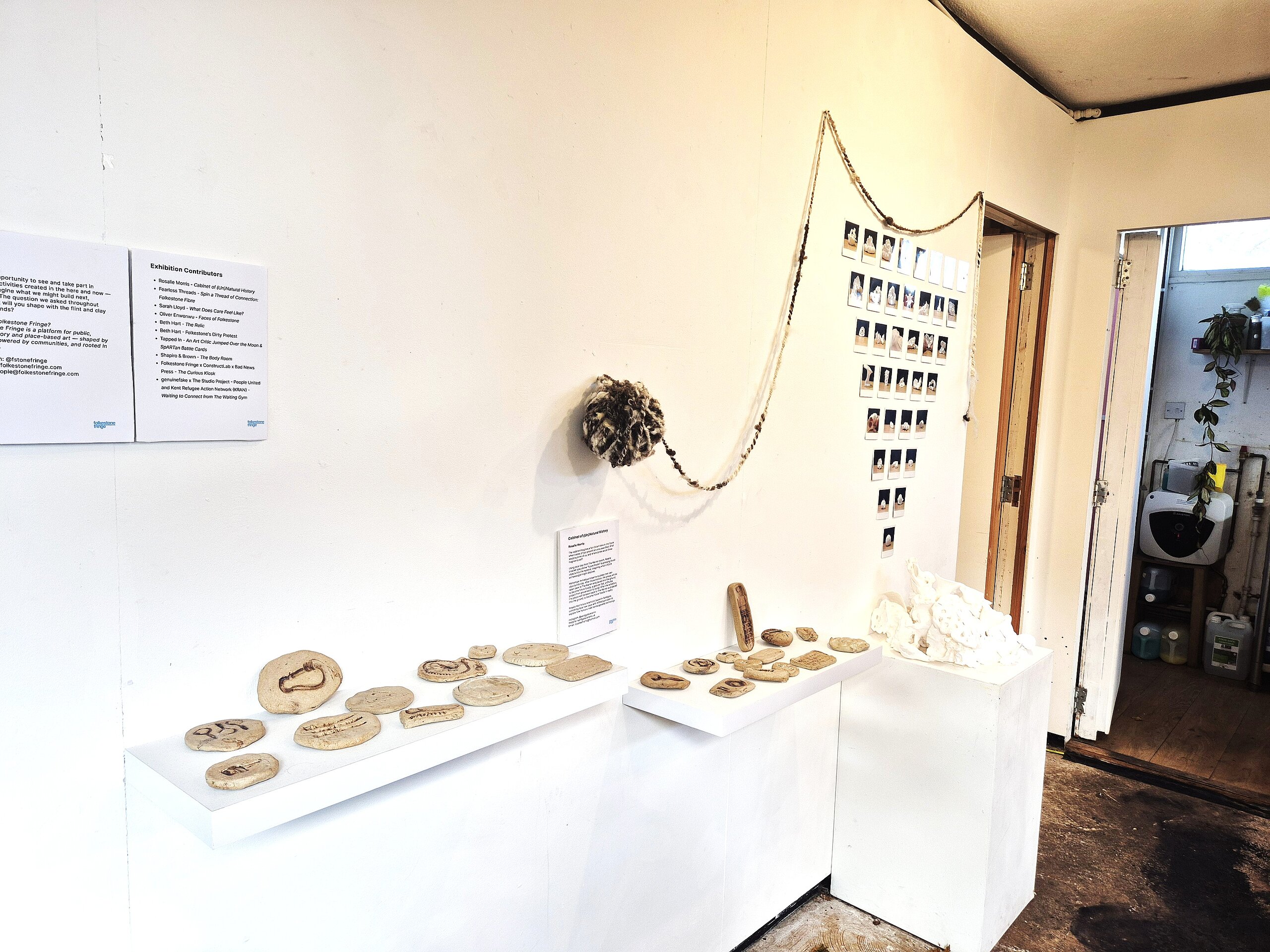 exhibition at The Urban Rooms Folkestone Fringe Cabinet of (Un) Natural History by Rosalie Morris 