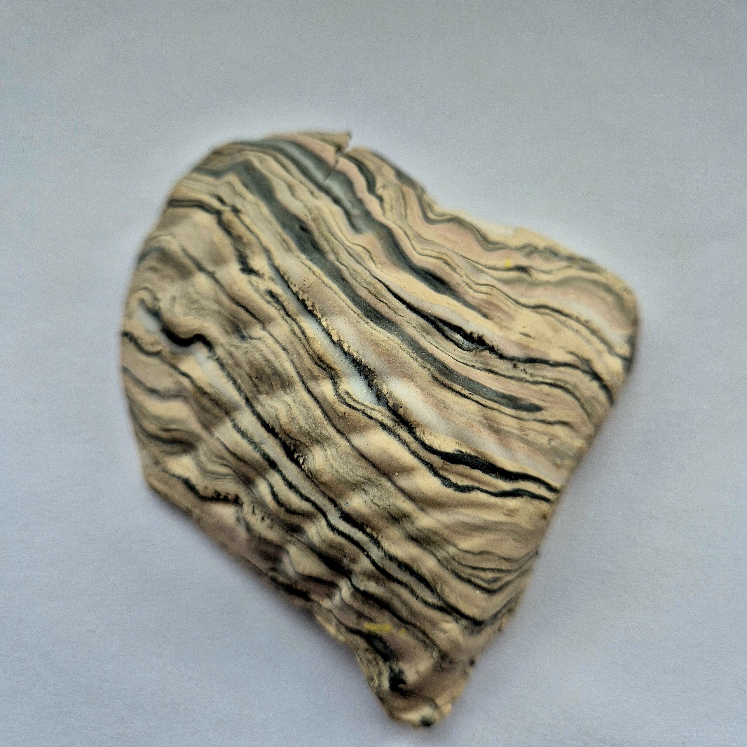 layers of mixed clay impression for Cabinet of (un)Natural History Folkestone Fringe by Rosalie Morris